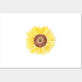 Watercolor Sunflower Posters and Art